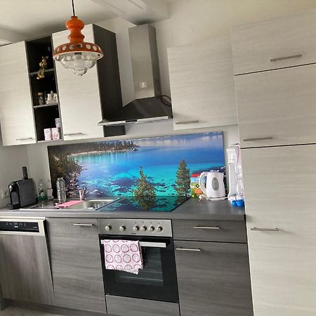 Apartment Valerie - Villa Muehlei Alterbachstr 9 Anif Eksteriør billede